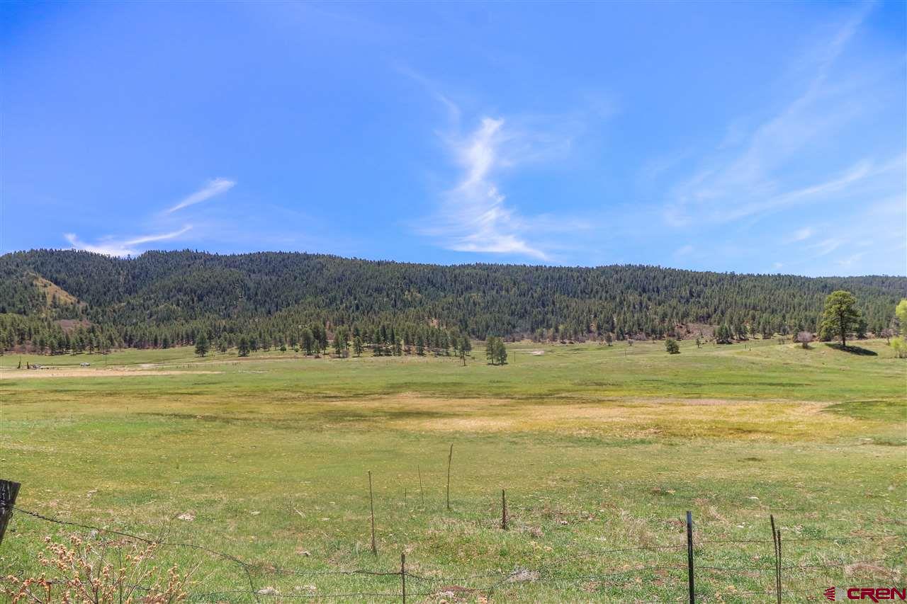 X Highway 84, Pagosa Springs, CO 81147 Listing Photo  30