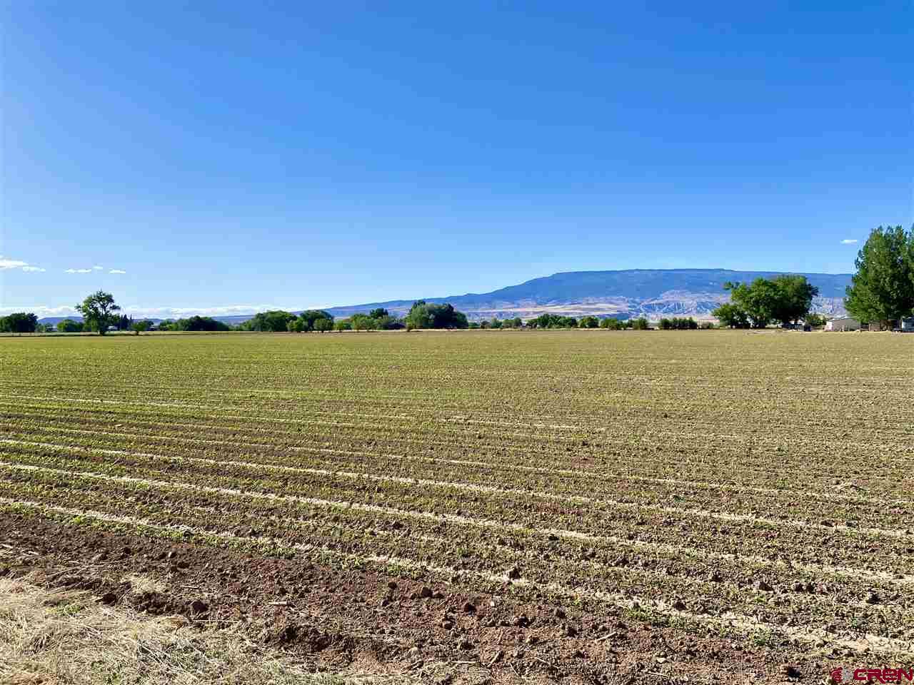 Farm and Ranch Properties in Western Colorado Shaffer Real Estate