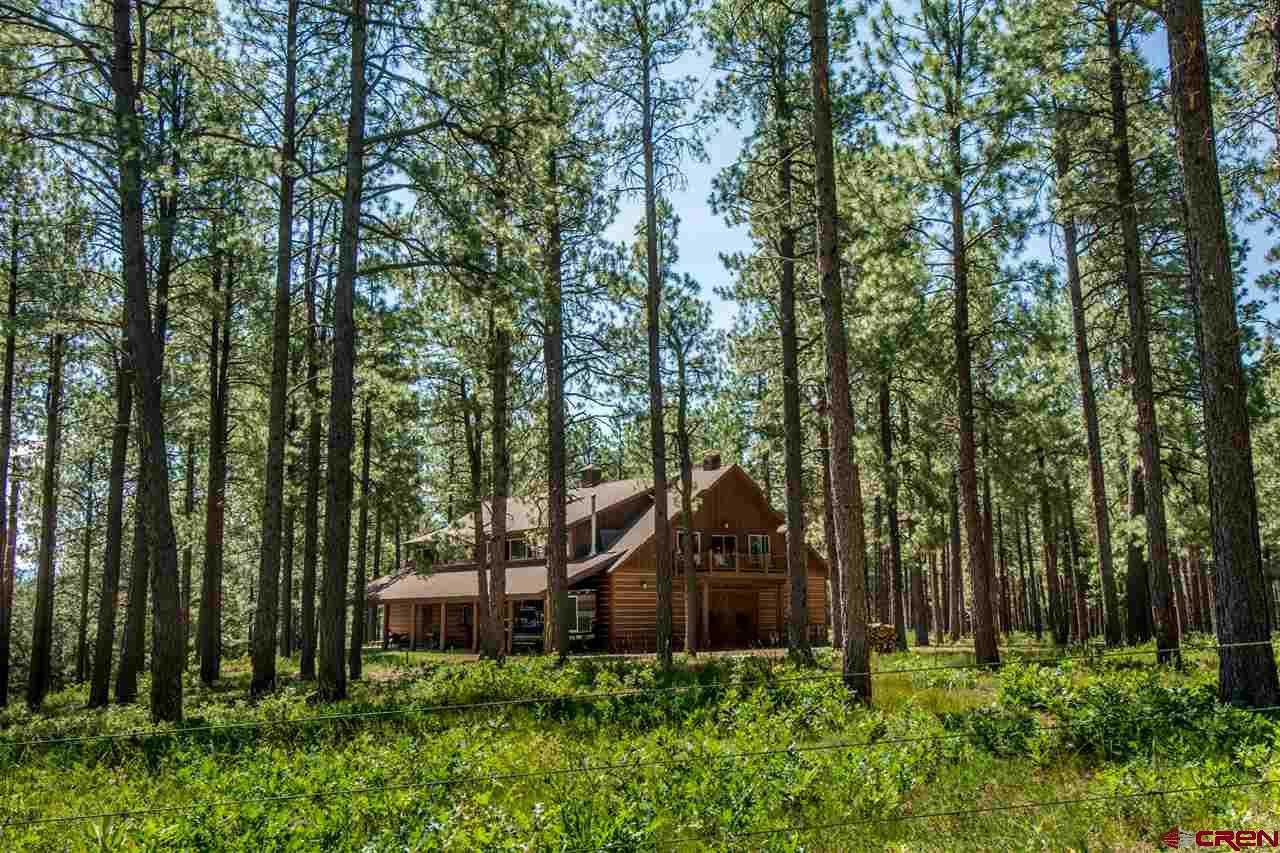 942 Hidden Valley Ranch Drive, Pagosa Springs, CO 81147 Listing Photo  30