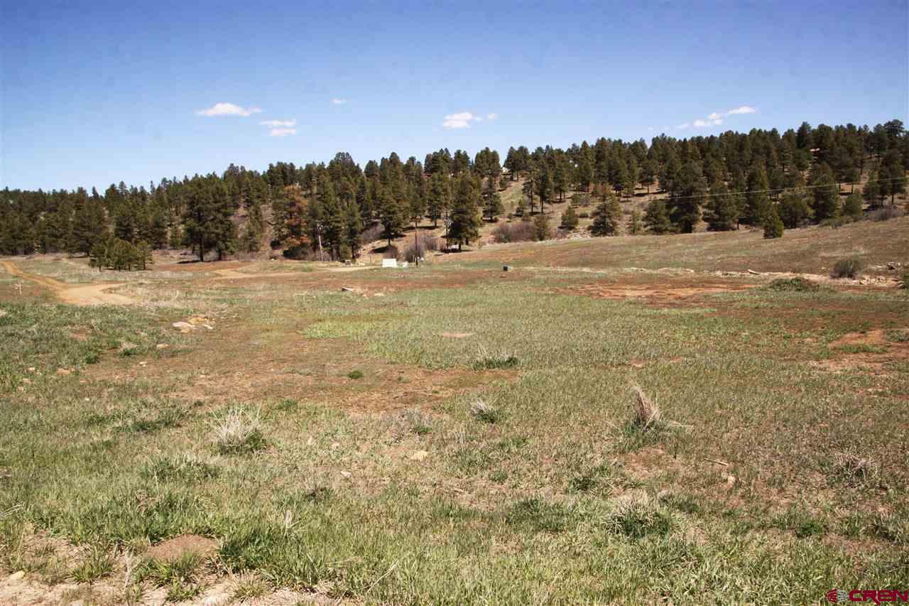 523 Trails Boulevard, Pagosa Springs, CO 81147 Listing Photo  3
