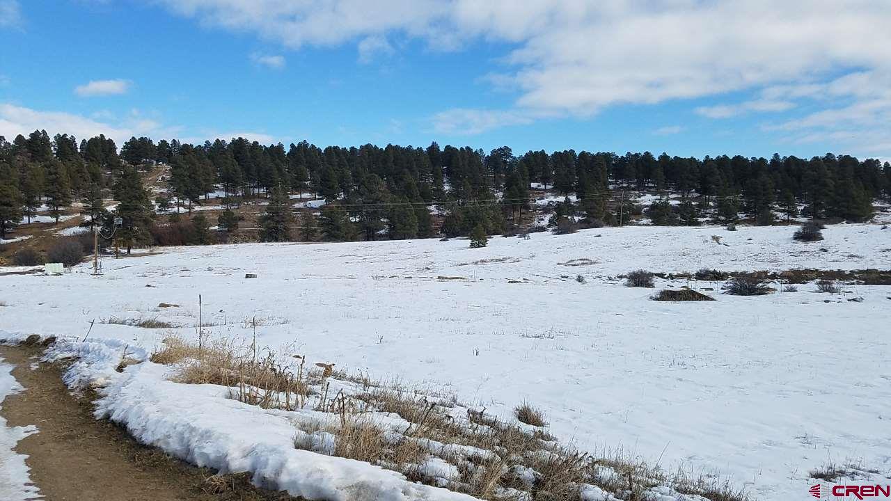 523 Trails Boulevard, Pagosa Springs, CO 81147 Listing Photo  23