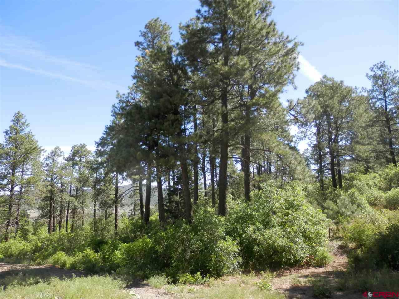 1550 Archuleta Mesa