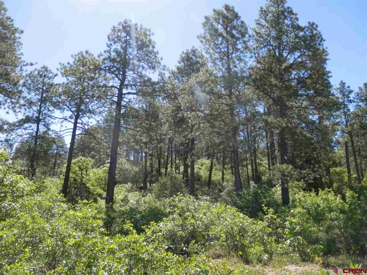 1550 Archuleta Mesa