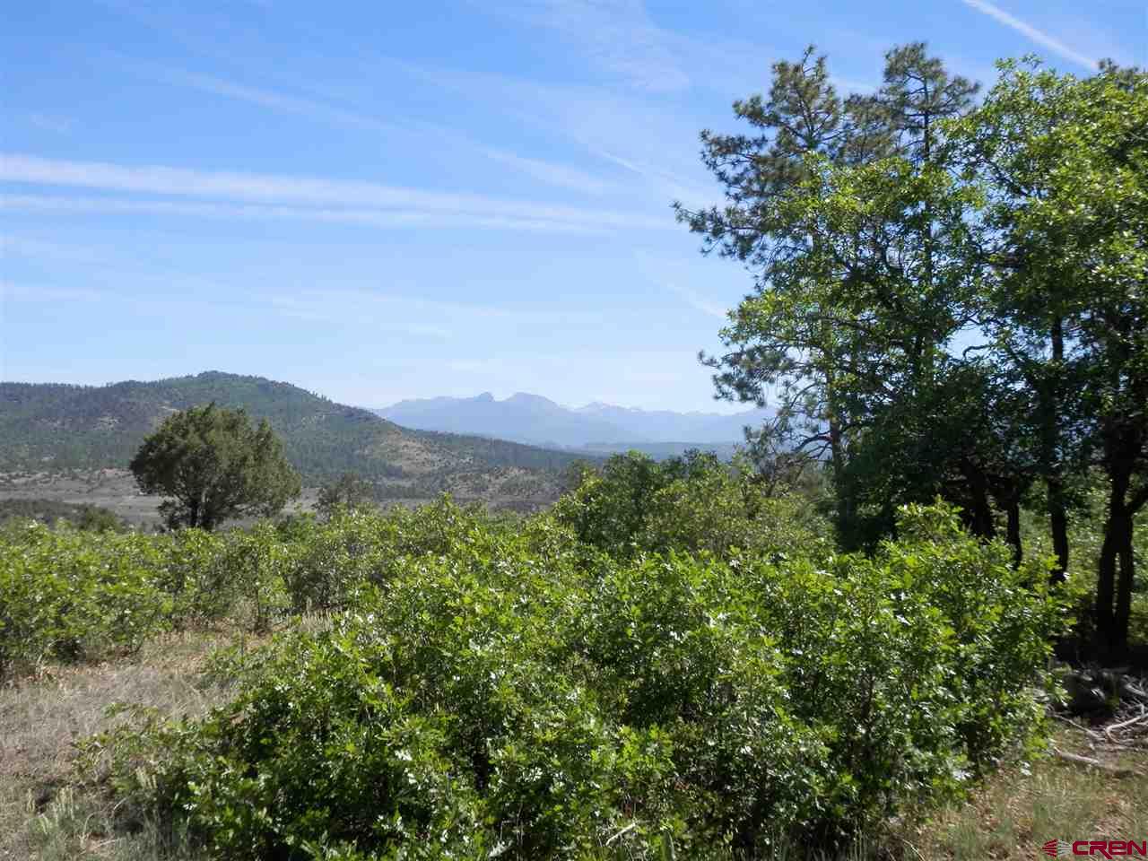 1550 Archuleta Mesa