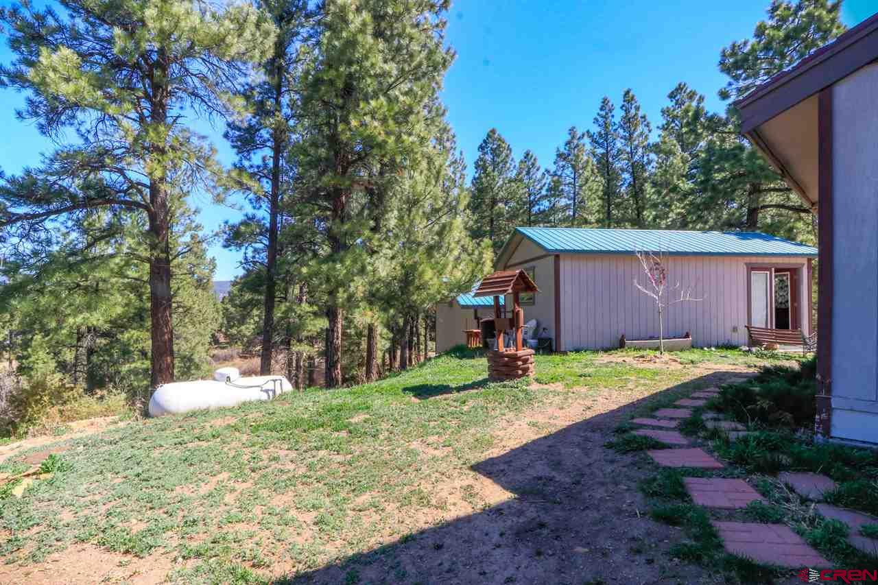 1563 County Road 700, Pagosa Springs, CO 81147 Listing Photo  28