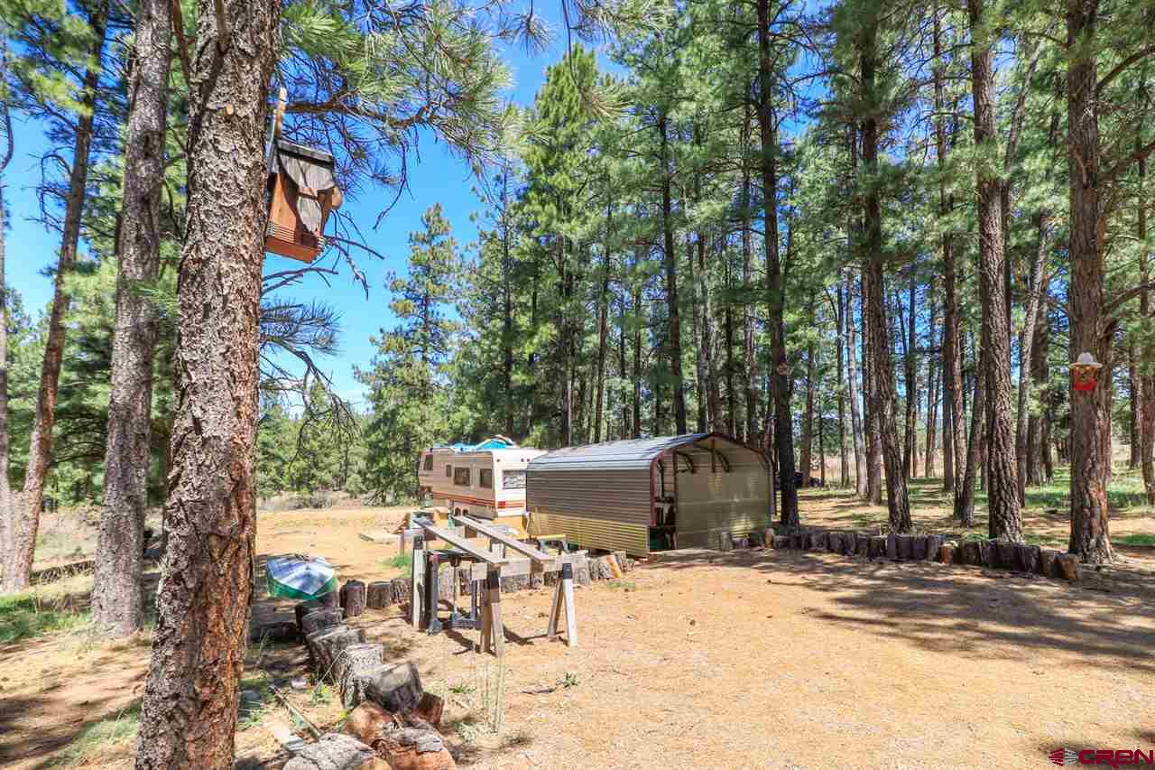 1563 County Road 700, Pagosa Springs, CO 81147 Listing Photo  29
