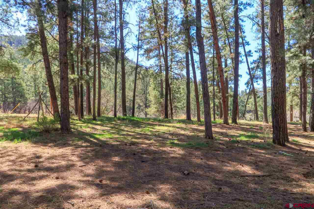1563 County Road 700, Pagosa Springs, CO 81147 Listing Photo  32