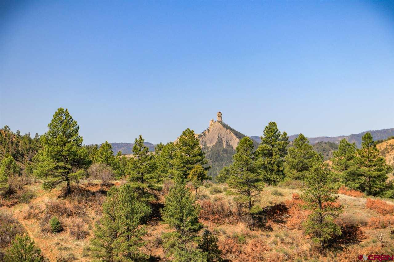 1563 County Road 700, Pagosa Springs, CO 81147 Listing Photo  33