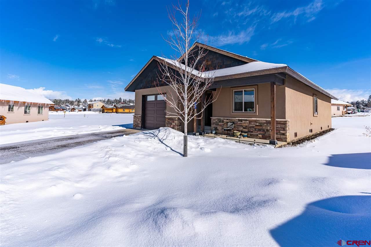 50 Scratch Court, Pagosa Springs, CO 81147 Listing Photo  1