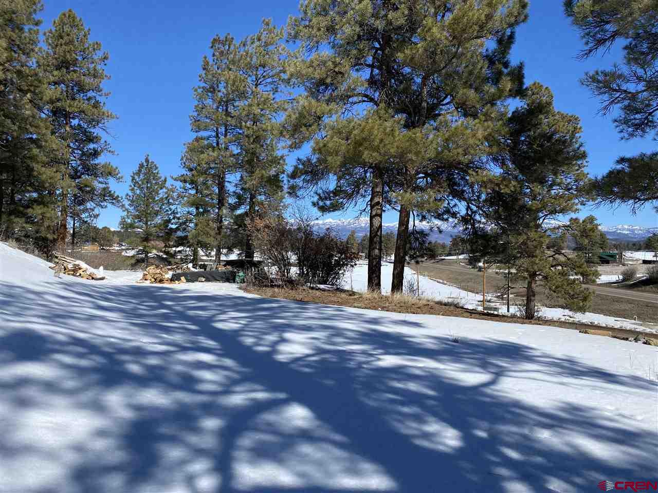 52 River Forest Drive, Pagosa Springs, CO 81147 Listing Photo  1