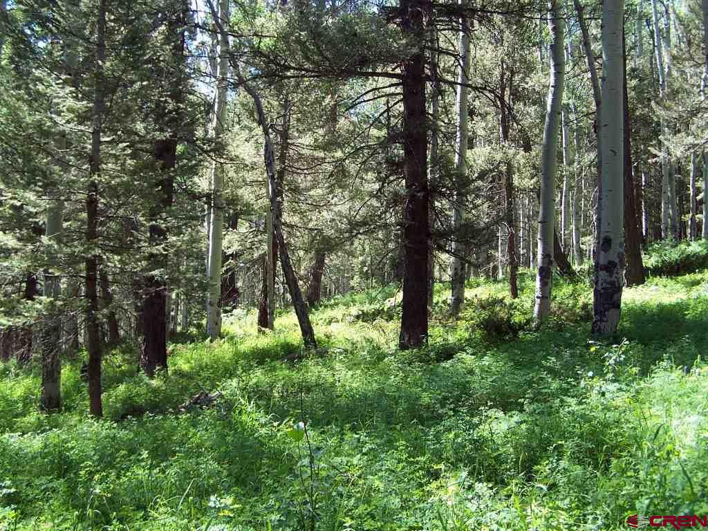 Lots & Land for sale in Cimarron, Colorado, 779242