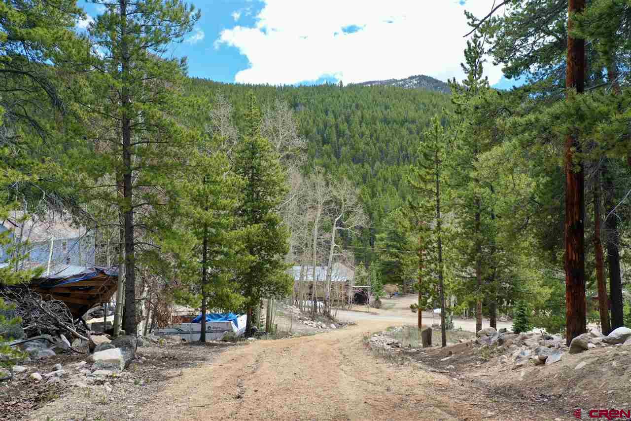 9673 County Road 888, White Pine, CO 81230