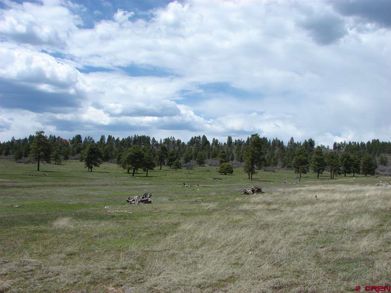 Lot 54 Industrial Circle, Pagosa Springs, CO 81147 Listing Photo  1