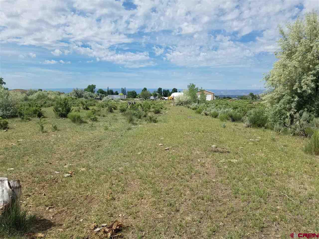Land for Sale Delta County CO
