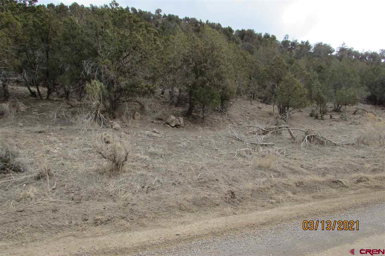 County Road 500