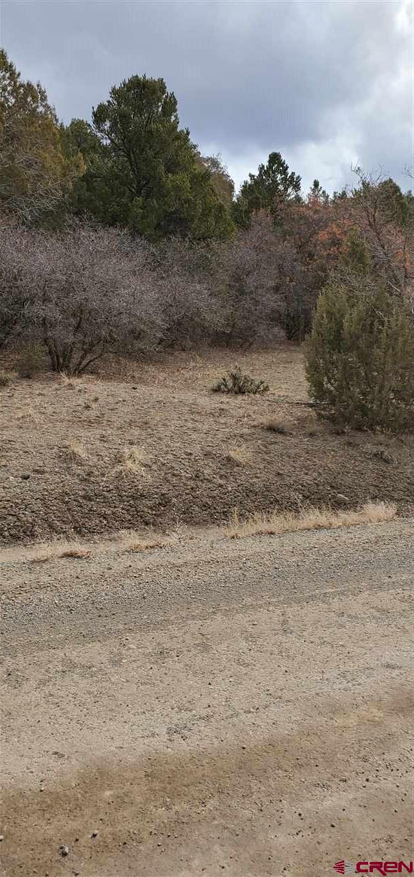 County Road 500