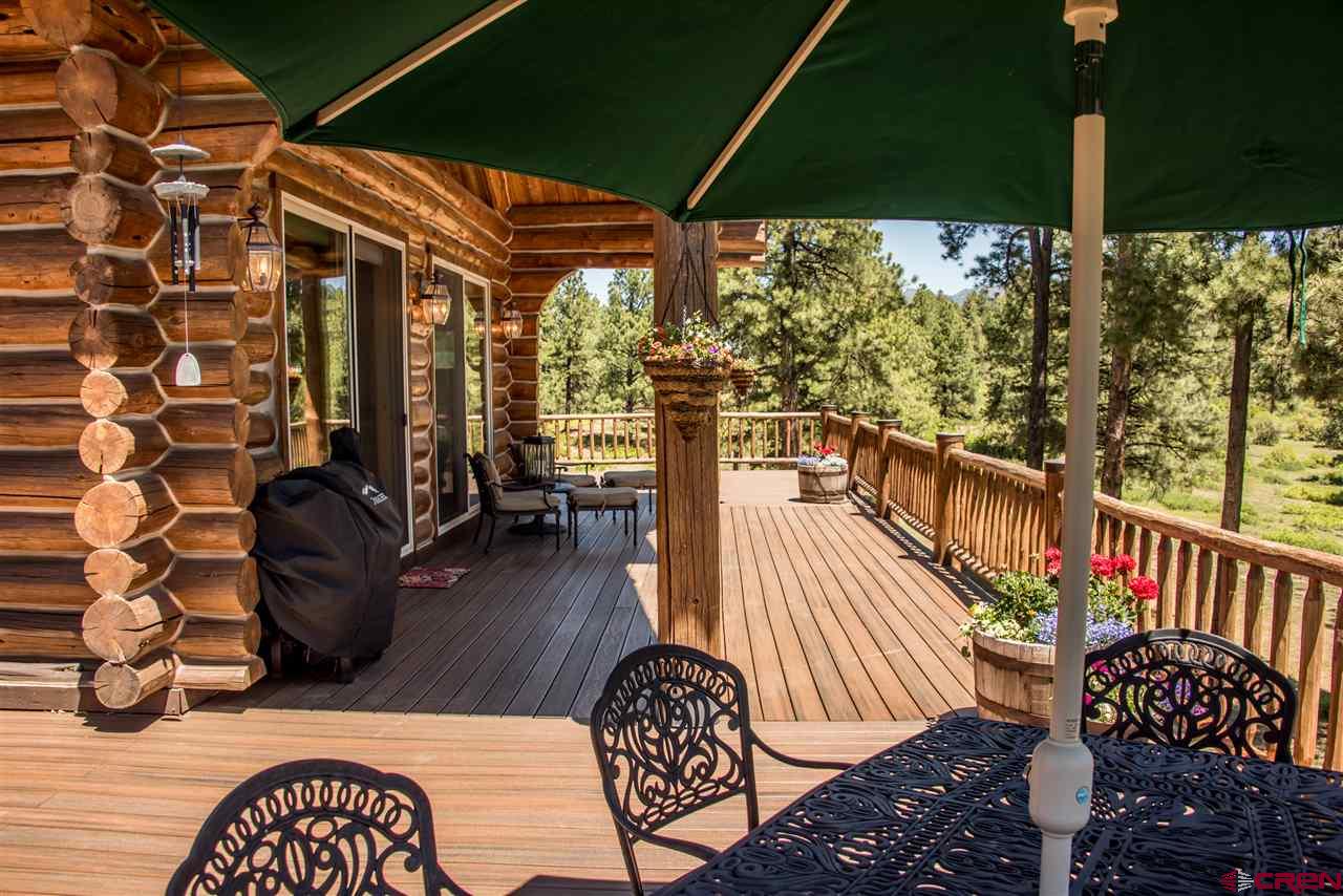 66 Rendezvous Court, Pagosa Springs, CO 81147 Listing Photo  29