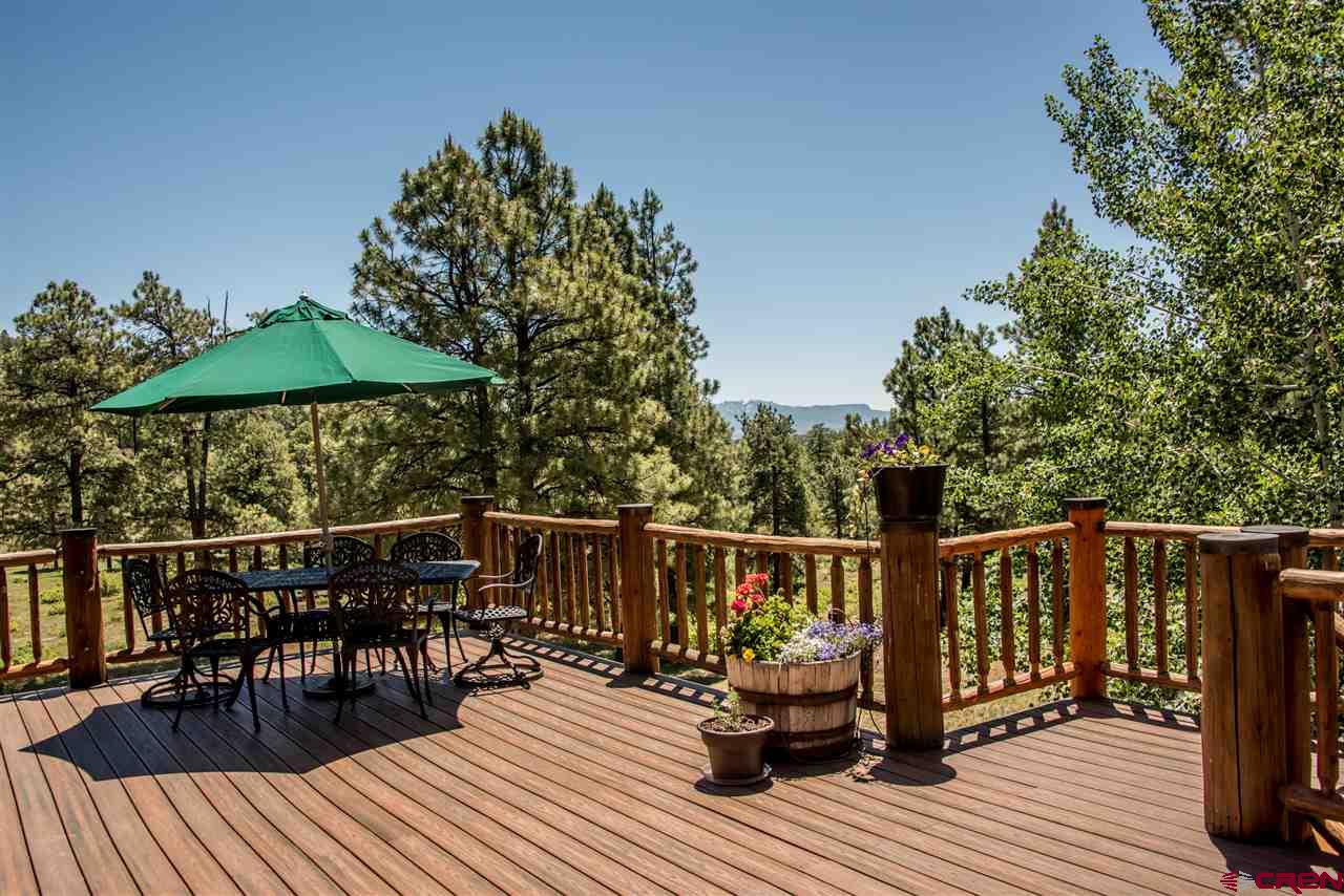 66 Rendezvous Court, Pagosa Springs, CO 81147 Listing Photo  31