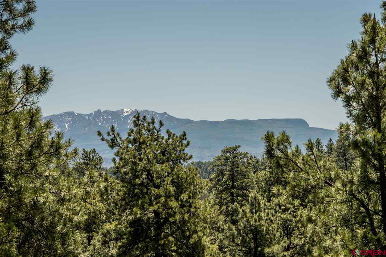 66 Rendezvous Court, Pagosa Springs, CO 81147 Listing Photo  32