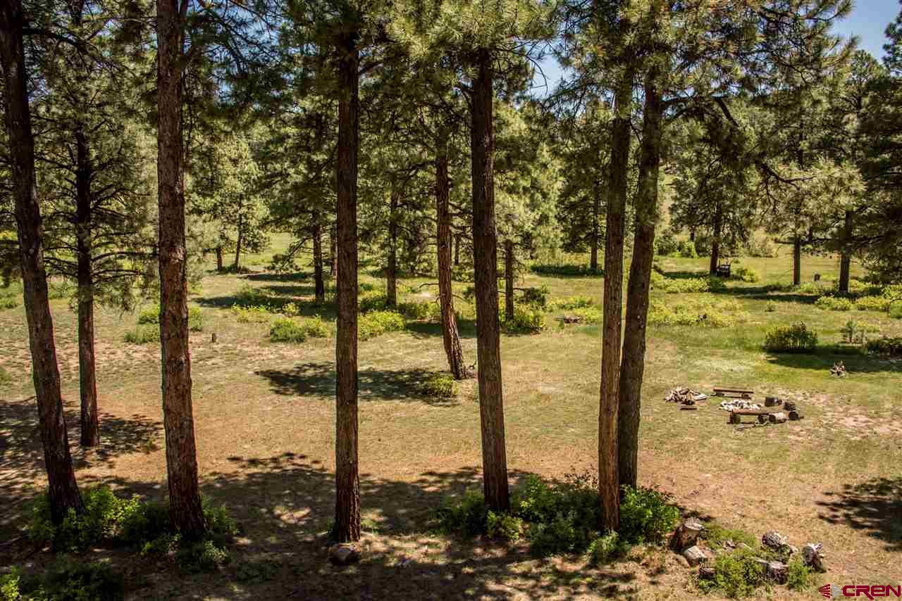 66 Rendezvous Court, Pagosa Springs, CO 81147 Listing Photo  34