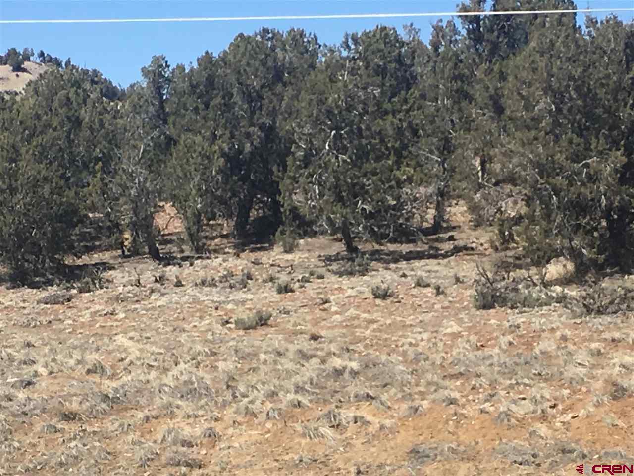 17827 State Hwy 151 Arboles 81121