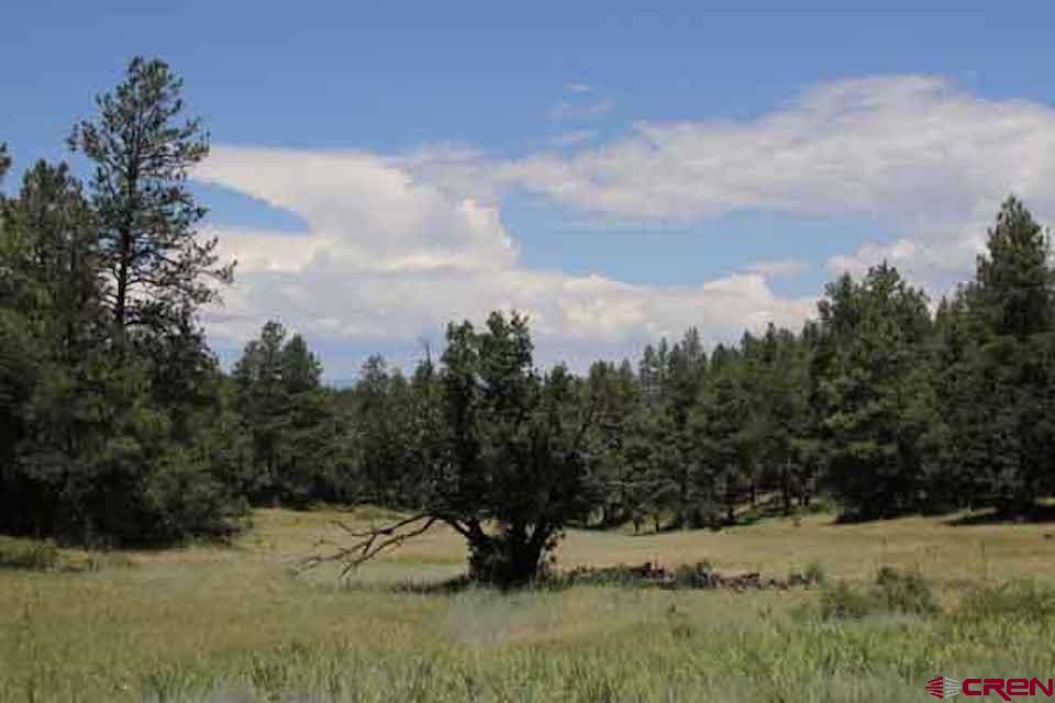 X County Road 302, Pagosa Springs, CO 81147 Listing Photo  3