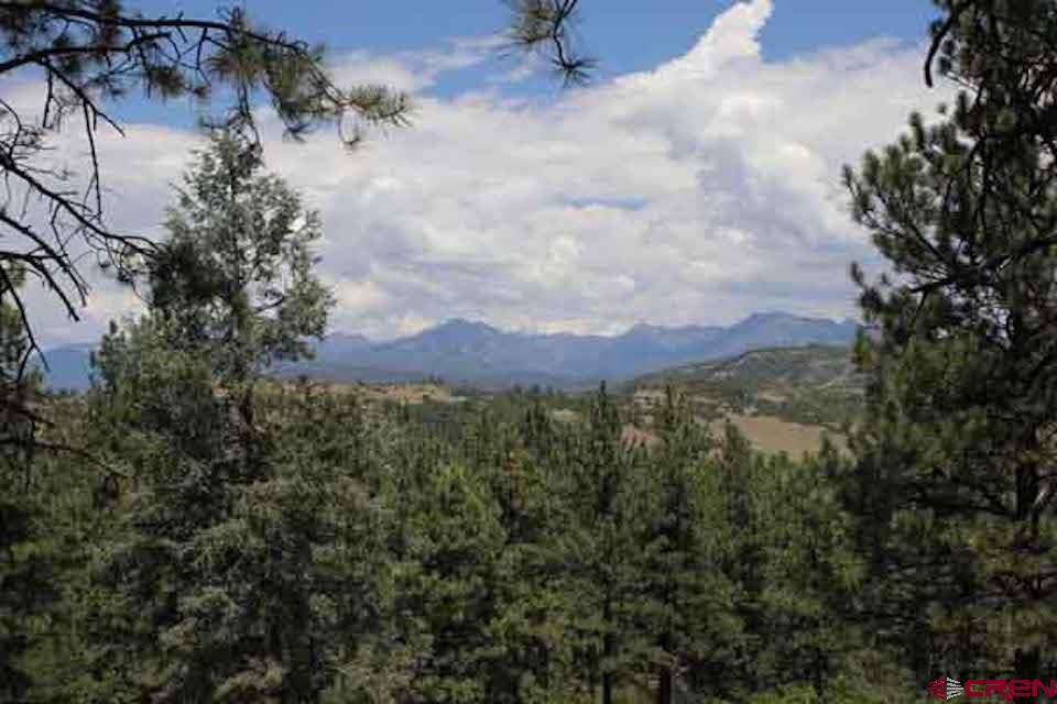 X County Road 302, Pagosa Springs, CO 81147 Listing Photo  4