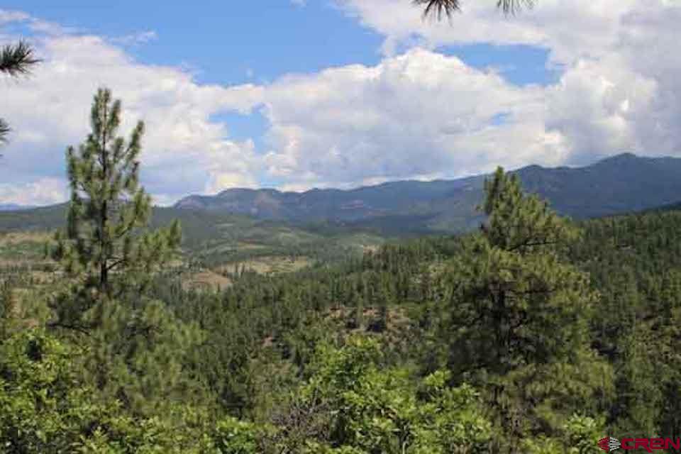 X County Road 302, Pagosa Springs, CO 81147 Listing Photo  5