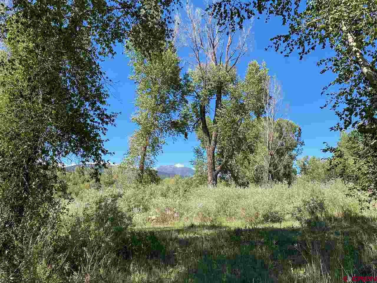X E Highway 160, Pagosa Springs, CO 81147 Listing Photo  23