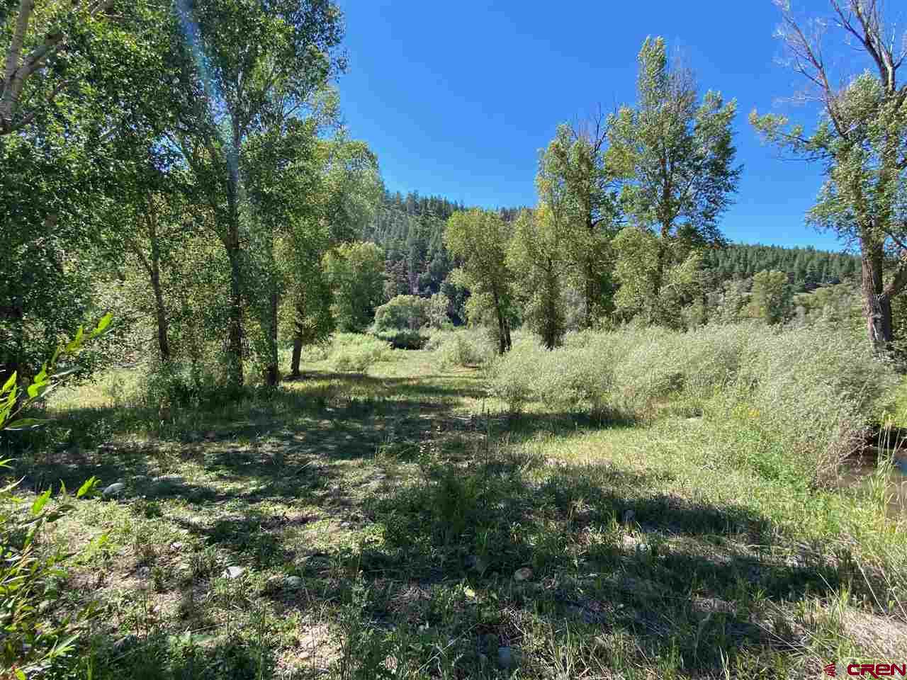 X E Highway 160, Pagosa Springs, CO 81147 Listing Photo  25