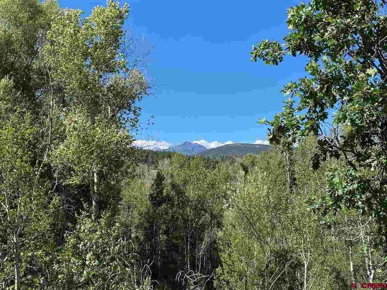 X E Highway 160, Pagosa Springs, CO 81147 Listing Photo  28