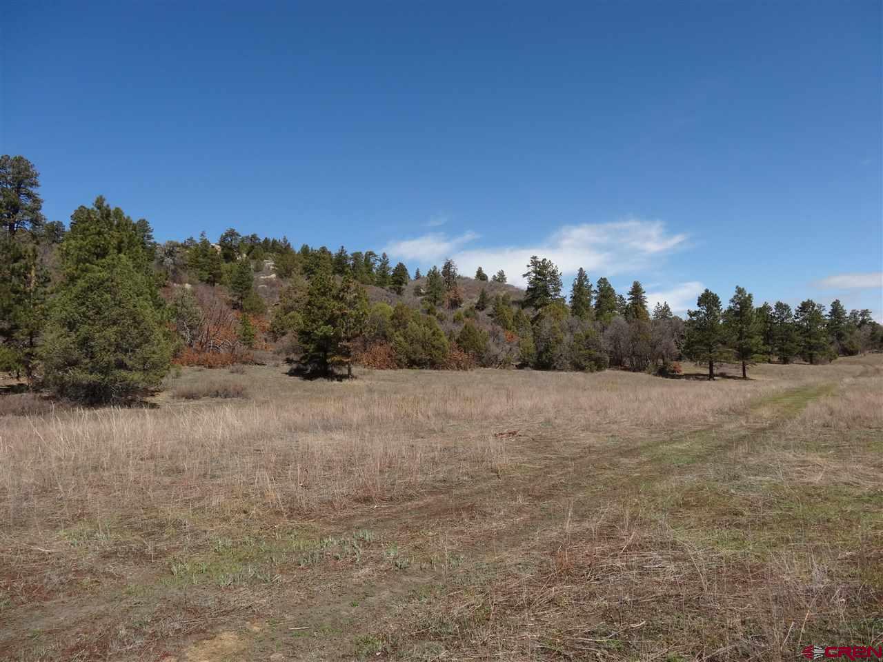 Colorado Ranches for Sale Galles Properties