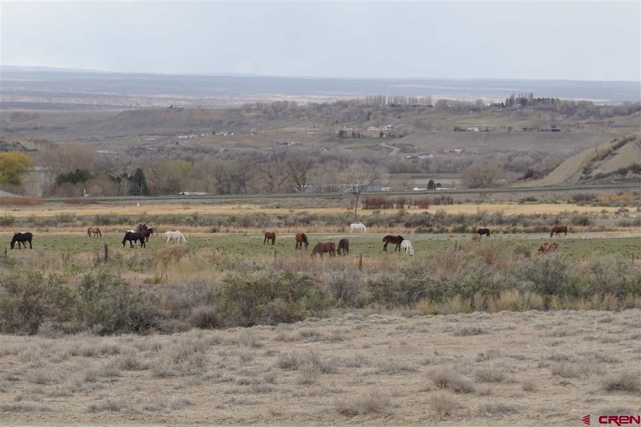 This 500+ acre property has not been on the market in decades. It is comprised of two contiguous pieces (R0025624, 3723-363-00-030 and R0025625, 3765-011-00-002) with 200+ shares of water through UVWUA.  Hwy 50 North frontage road, 6200 Road and Jay Jay Rd. are all right there for best allowable access to be determined. A hay crop is currently being grown and the property has also been used for winter grazing.  When you get out on the property, you realize how much higher the terrain is, providing some pretty spectacular, almost 360 degree views! In addition to the abundant water shares, there are four Menoken water taps and 3 water mains nearby.  Additionally, a great deal of Montrose County has Opportunity Zone designation which offers many tax benefits for those investors. A good local source for OZ  information is Montrose Economic Development  Corporation. If you want to live and farm, or develop in a place with views, irrigation water, and easy access to the highway ...then this is the place for you!