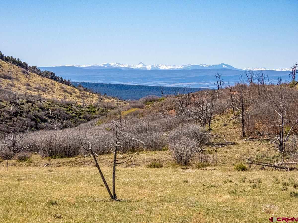 18495 Currant Creek Road, Cedaredge, CO 81413