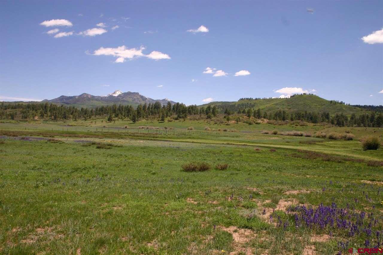 1828 Preservation Place, Pagosa Springs, CO 81147 Listing Photo  2