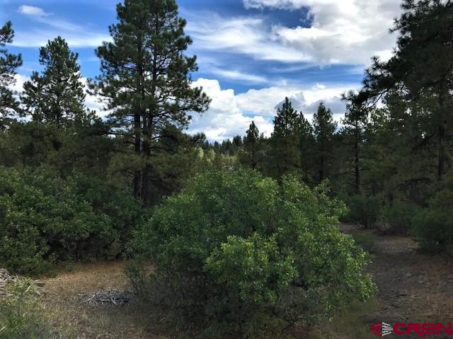 1099 Cool Pines Drive