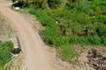 Thumbnail Photo