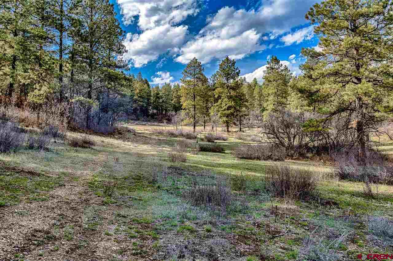 Lot_32 Piney Place, Pagosa Springs, CO 81147 Listing Photo  2