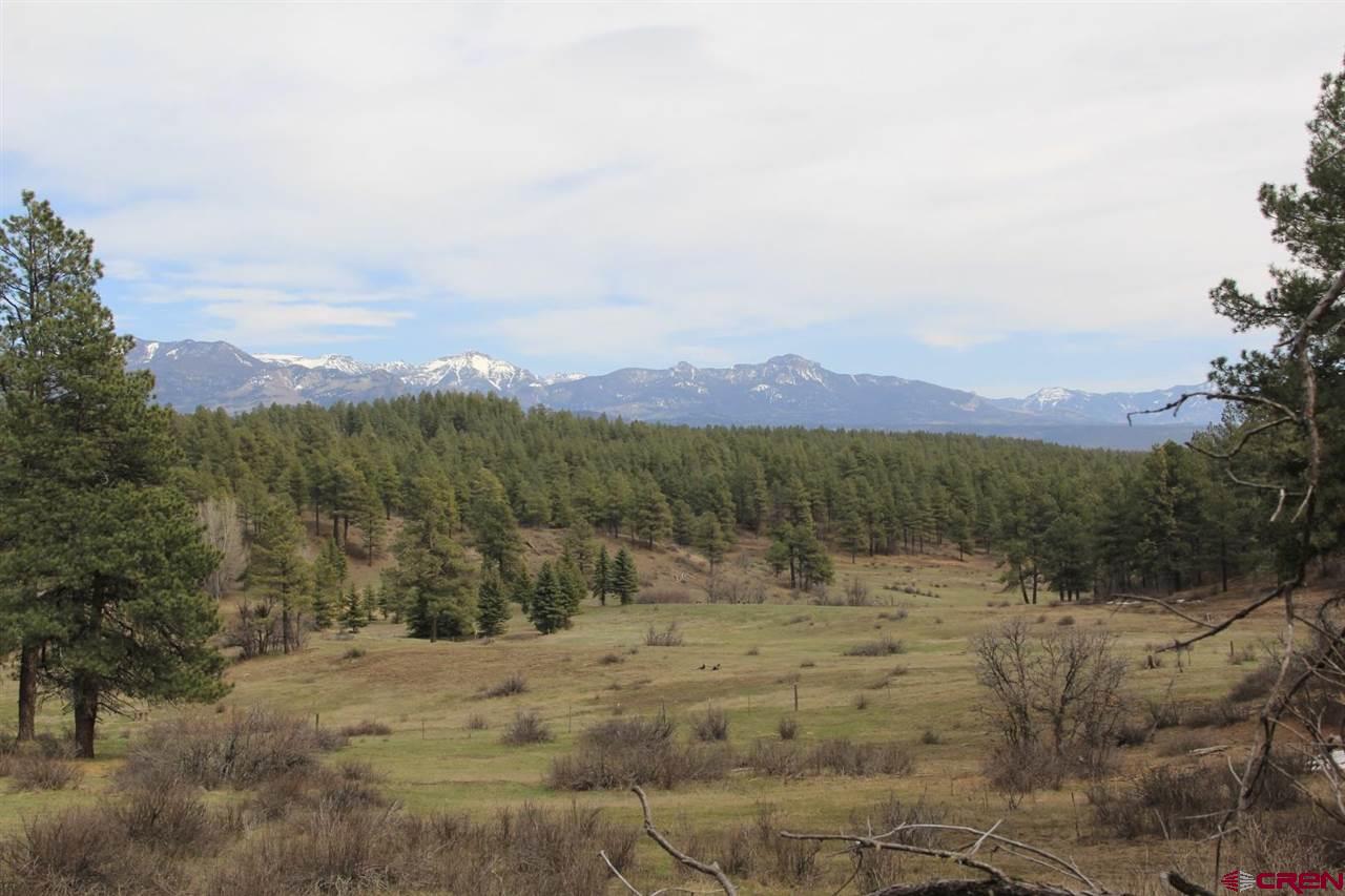Lot_32 Piney Place, Pagosa Springs, CO 81147 Listing Photo  11