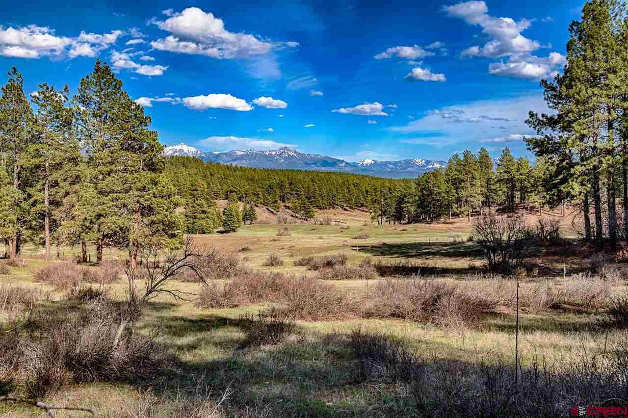 Lot_32 Piney Place, Pagosa Springs, CO 81147 Listing Photo  4