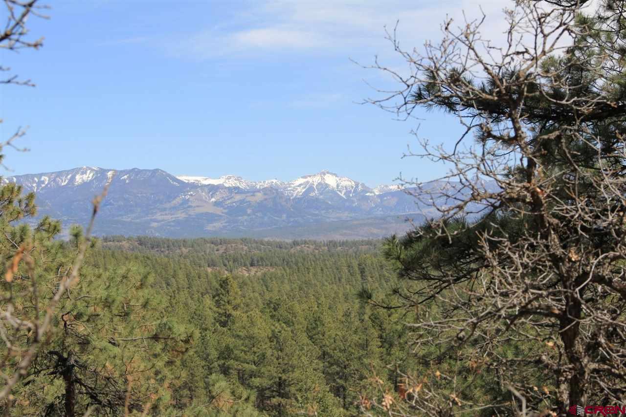 Lot_32 Piney Place, Pagosa Springs, CO 81147 Listing Photo  5