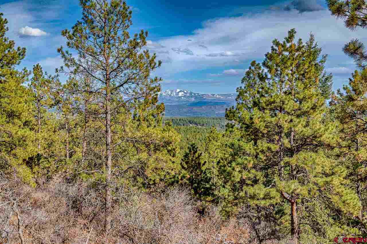 Lot_32 Piney Place, Pagosa Springs, CO 81147 Listing Photo  6