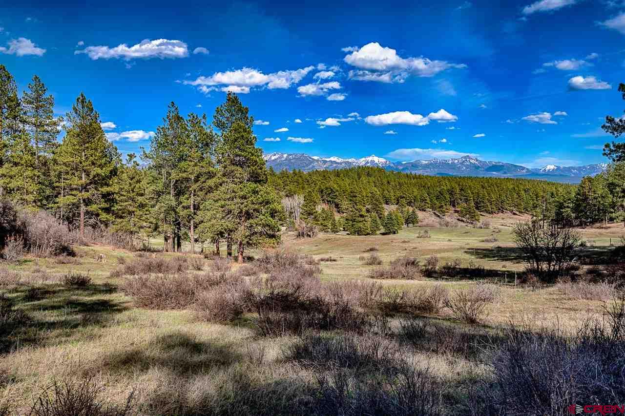 Lot_32 Piney Place, Pagosa Springs, CO 81147 Listing Photo  7