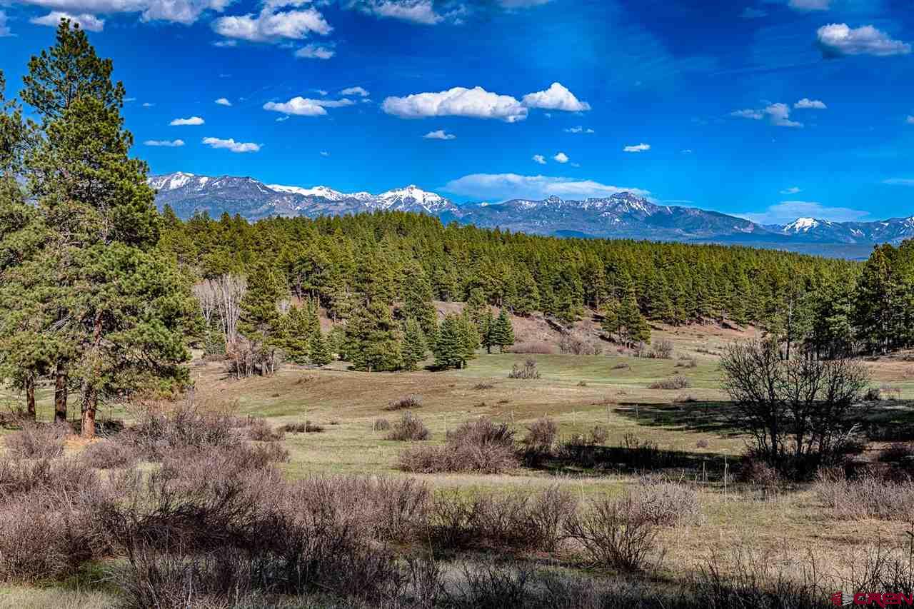 Lot_32 Piney Place, Pagosa Springs, CO 81147 Listing Photo  8