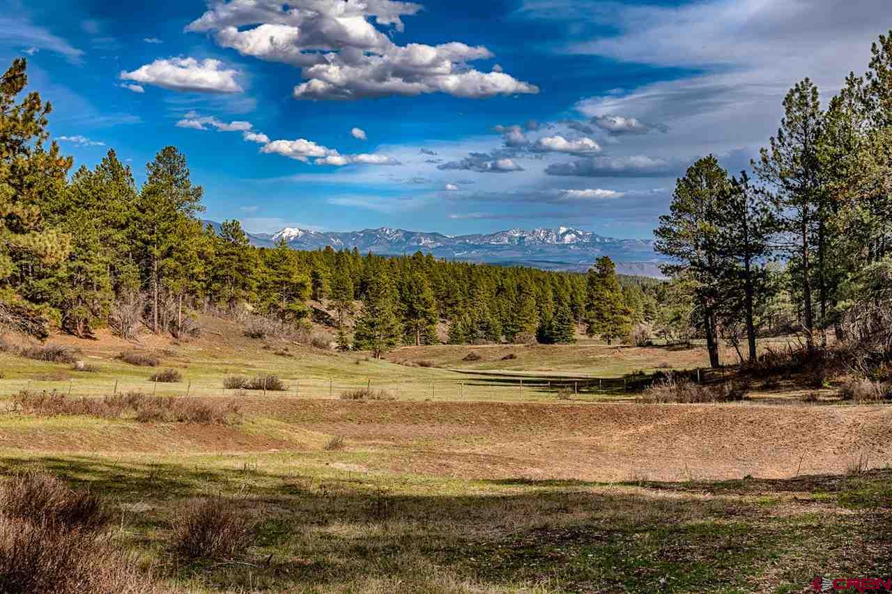 Lot_32 Piney Place, Pagosa Springs, CO 81147 Listing Photo  9