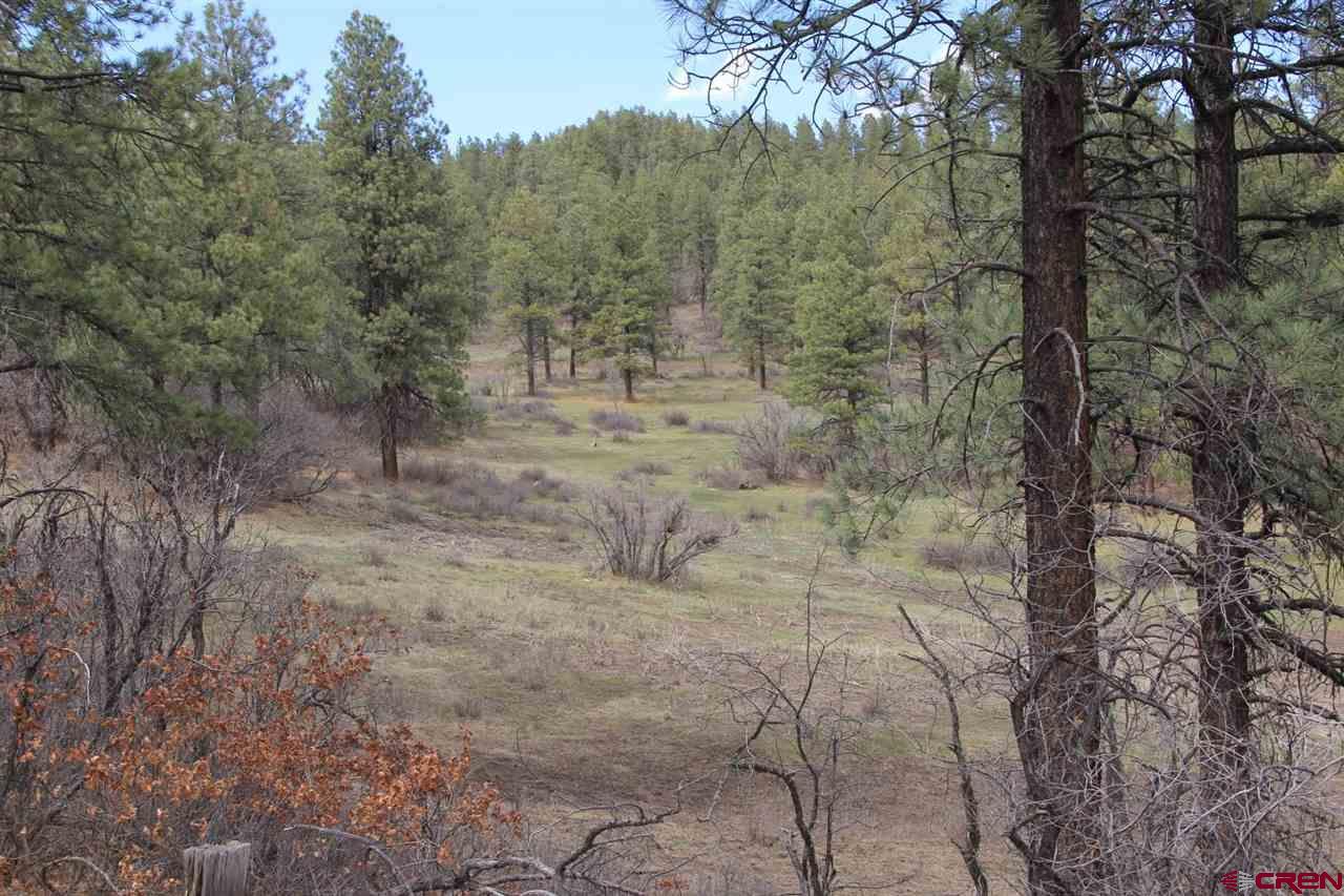 Lot_32 Piney Place, Pagosa Springs, CO 81147 Listing Photo  10