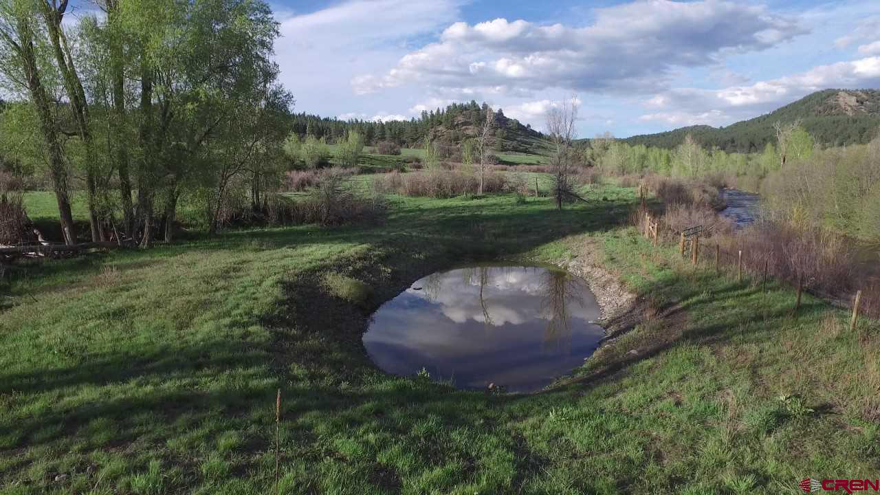 546 County Road 335