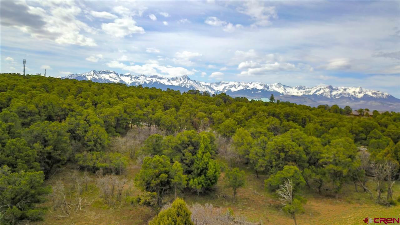 Loghill Village Ridgway Real Estate