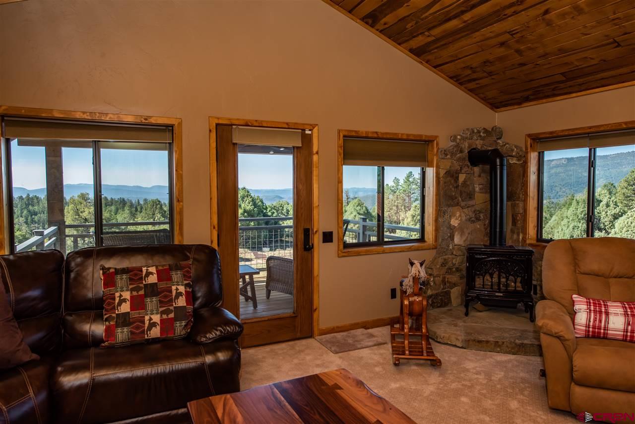 509 S Black Bear Place, Pagosa Springs, CO 81147 Listing Photo  17