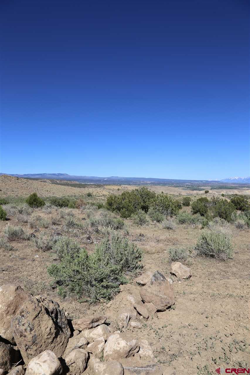 Hunting area 411. Foothills of the Grand Mesa, 35 + acre parcels.  12 parcel subdivision.  Year round access.  Live water on 8 lots. 60 ft. utility easement access. Terrific views, seasonal RV's welcome, modular homes fine, perfect spot for solar power, propane delivery access, septic tanks OK!  30 minute drive from Delta.  Close to shopping, fishing on the Grand Mesa.  Everything is close but you feel a thousand miles away. Livestock Allowed!  OWNER FINANCING AVAILABLE WITH TERMS!!!  60 Ft Access & Utility Easement